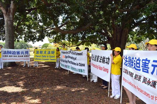图:二十国峰会(G20)前夕,法轮功学员在澳大利亚布里斯本传播真相