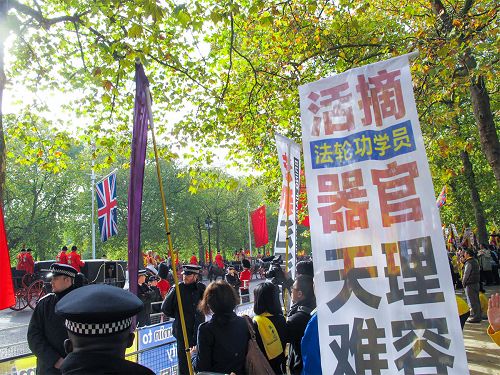 图8:二零一五年十月二十日,在林荫路(The Mall)上,习*近*平随从乘坐的马车路过法轮功真相横幅,他们面带微笑认真观看