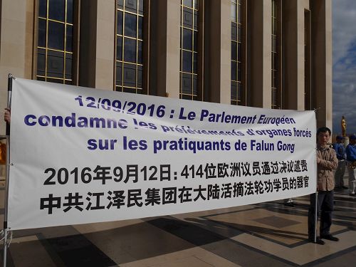 '图12、13:巨大的法语和中文横幅传递真相信息'