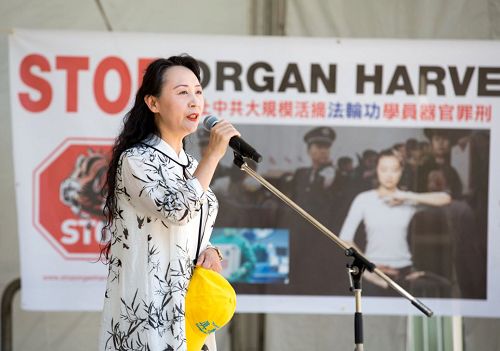 图12:华人社区的民阵全球主席盛雪