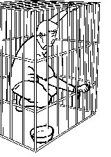 '绘画:铁笼子'