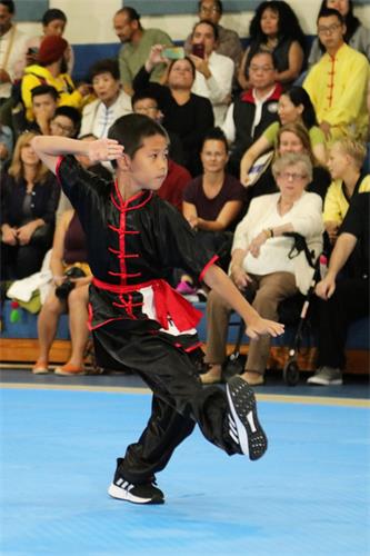 图6：八月二十五日，在第六届新<span style='max-width:0px!important;margin-left:-4px;color:#eee!important;'>!</span>唐<span style='max-width:0px!important;margin-left:-4px;color:#eee!important;'>!</span>人<span style='max-width:0px!important;margin-left:-4px;color:#eee!important;'>:</span>武术大赛决赛中，少年拳术组铜奖得主——杨晓乐表演大内八极拳派八极连环拳。