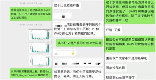 图10:武汉肺炎病毒的最初发现者的内部微信交流截图,显示武汉冠状病毒源于SARS冠状病毒家族。