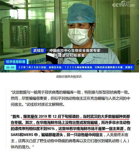 '图:中国疾控中心专家武桂珍接受央视采访指出:直接传染人的不是蝙蝠,源头也不在海鲜市场。(网路截图)'