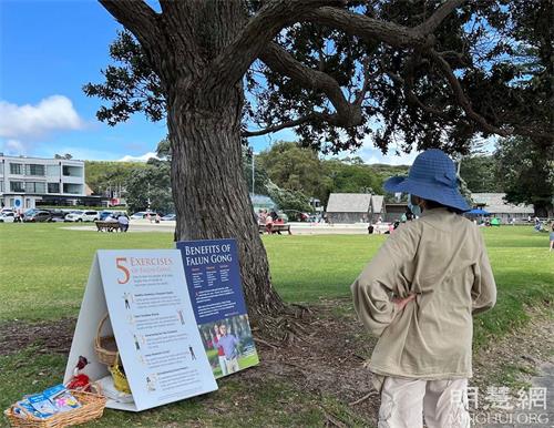'图6:林恩正在阅读展板,了解真相。'