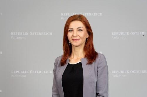 '图6:奥地利绿党国会议员艾娃·恩斯特-杰季奇(Dr. Ewa Ernst-Dziedzic)'