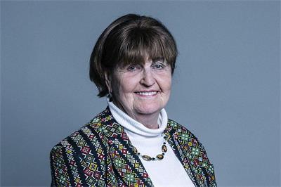 '图10:上议院议员,考克斯男爵夫人(THE BARONESS COX)'