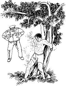 '中共酷刑示意图:喂蚊虫咬'
