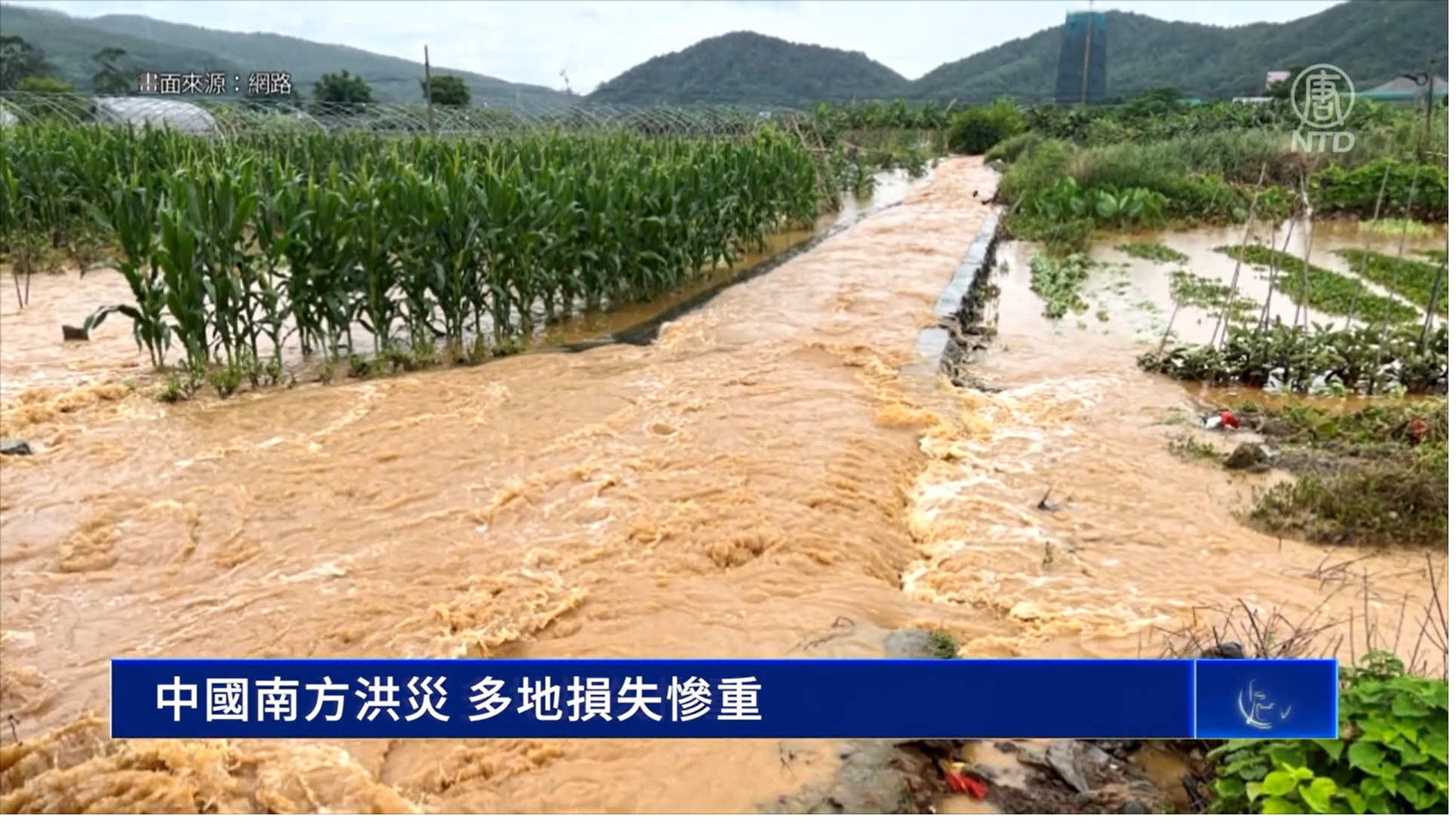 图:中国南方洪灾,多地损失惨重。(新<span style='max-width:0px!important;margin-left:-4px;color:#eee!important;'>!</span>唐<span style='max-width:0px!important;margin-left:-4px;color:#eee!important;'>!</span>人<span style='max-width:0px!important;margin-left:-4px;color:#eee!important;'>:</span>电视截图)