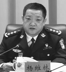 长春市公安局长杨维林照片