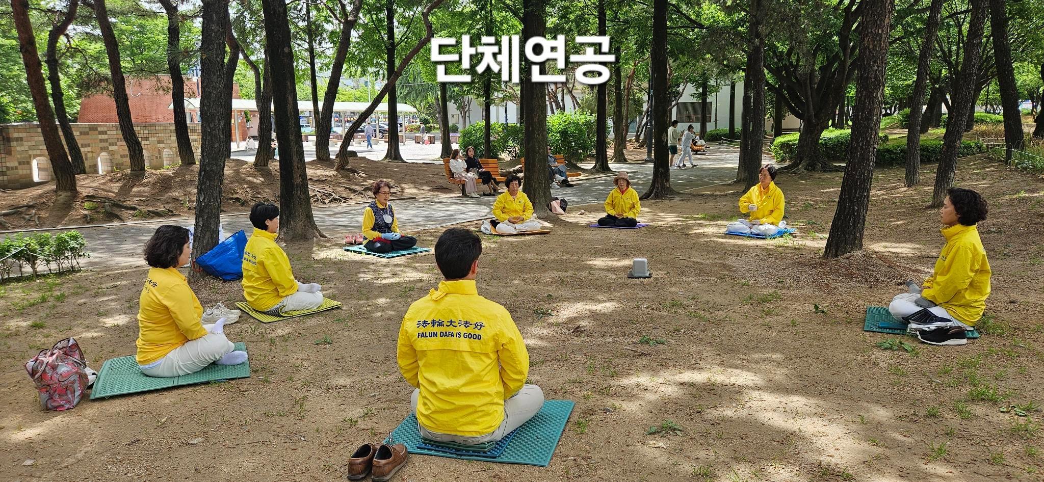 图12:韩国金海市大法弟子炼功庆祝世界法轮大法日