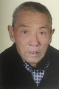 刘殿元