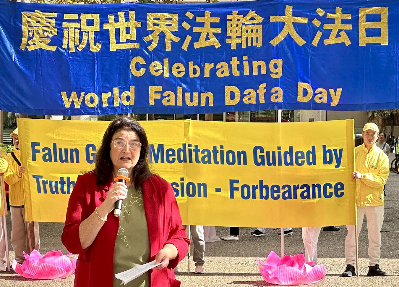 '图5:坎伯兰市议员海伦·休斯在发言'