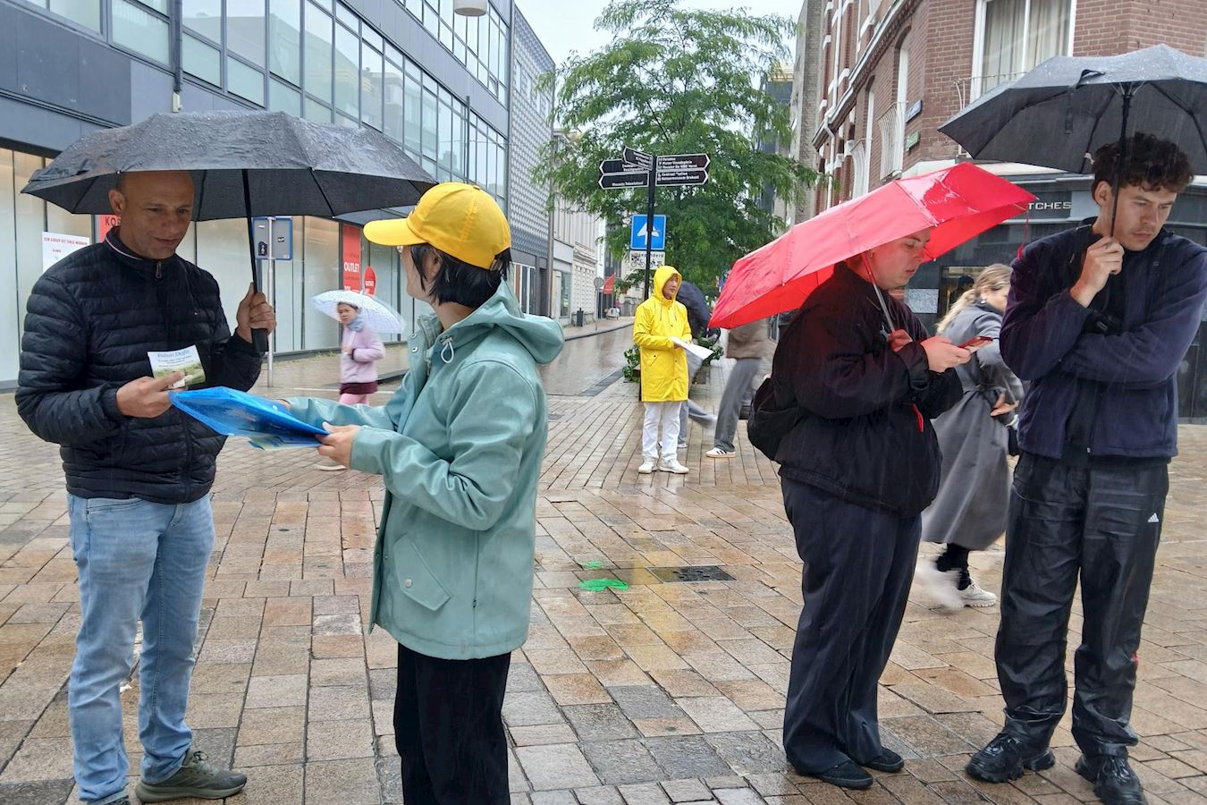 '图1~4:学员们在蒂尔堡商业街(Heuvelstraat)布置展板,展示功法,民众雨中驻足观看。'